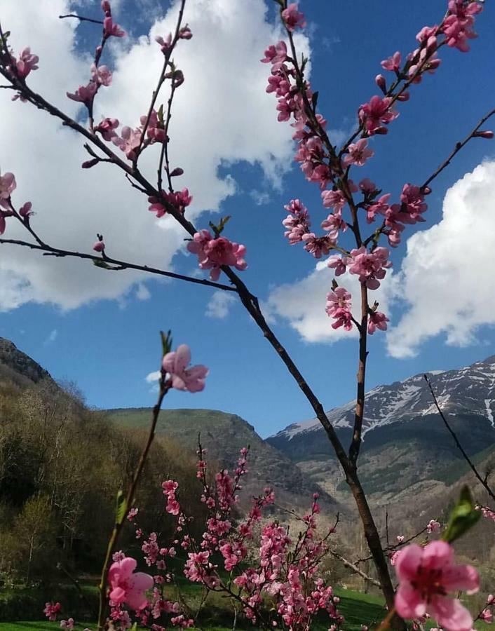 Casa Sastre ξενώνας Espuy Εξωτερικό φωτογραφία